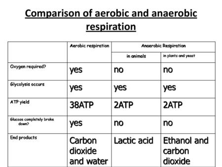 Anaerobic Respiration In Plants Ppt Download