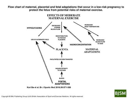 Flow chart of maternal, placental and fetal adaptations that occur in a low-risk pregnancy to protect the fetus from potential risks of maternal exercise.