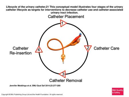 Lifecycle of the urinary catheter