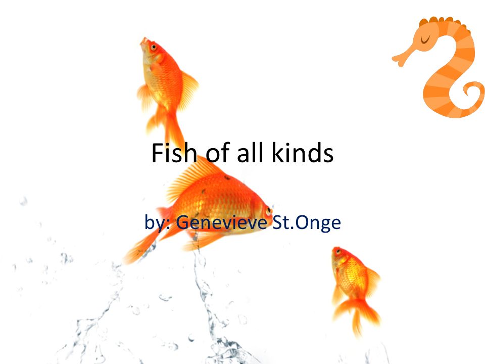 Fish of all kinds by: Genevieve . Fish living Fish live a life cycle  no other animal lives. Yes whales or dolphins live in the water but they  take. - ppt download