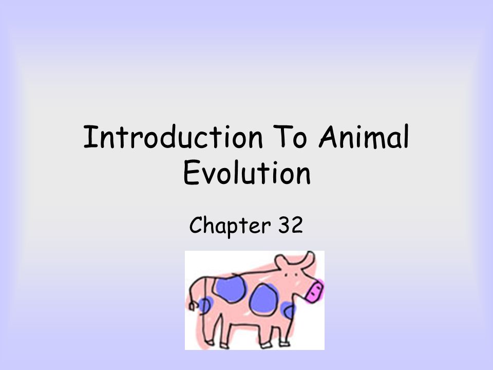 Introduction To Animal Evolution - ppt download