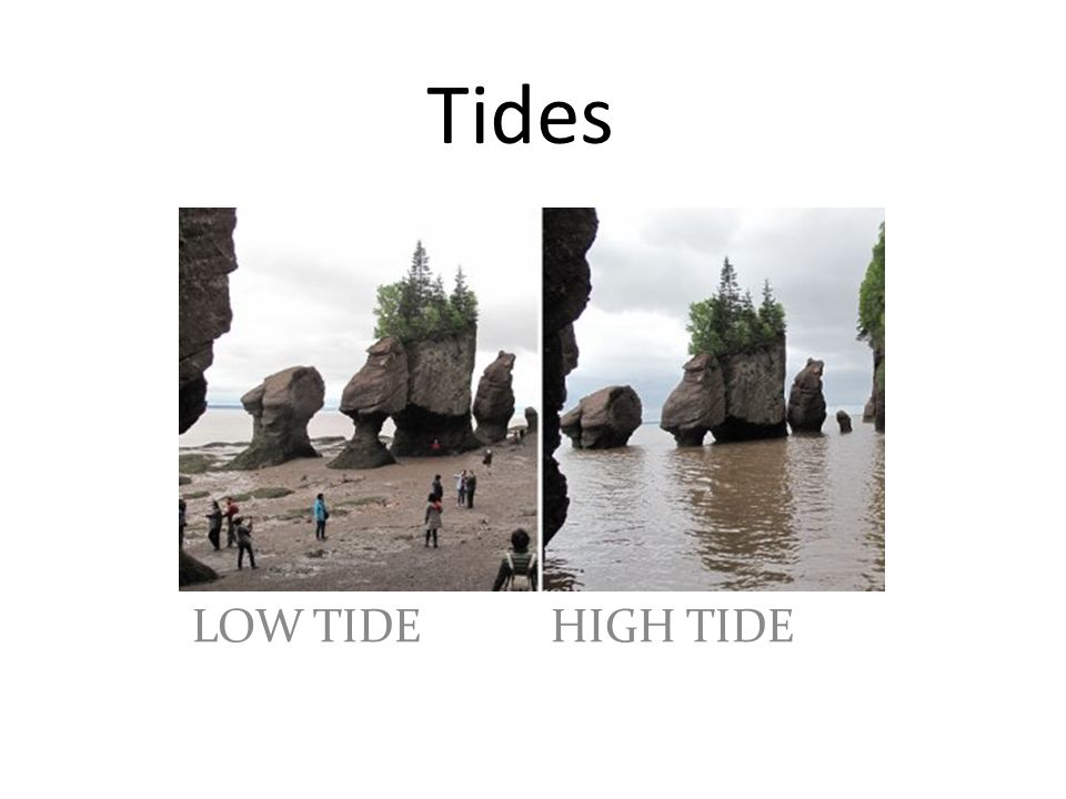 Tides LOW TIDE HIGH TIDE. - ppt download