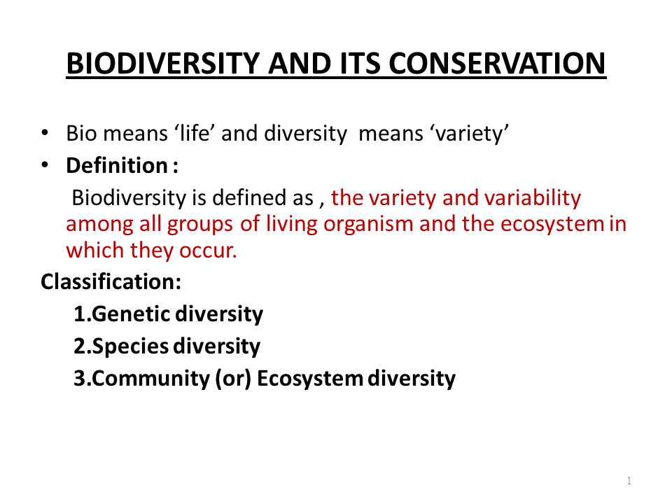 BIODIVERSITY AND ITS CONSERVATION ppt video online download