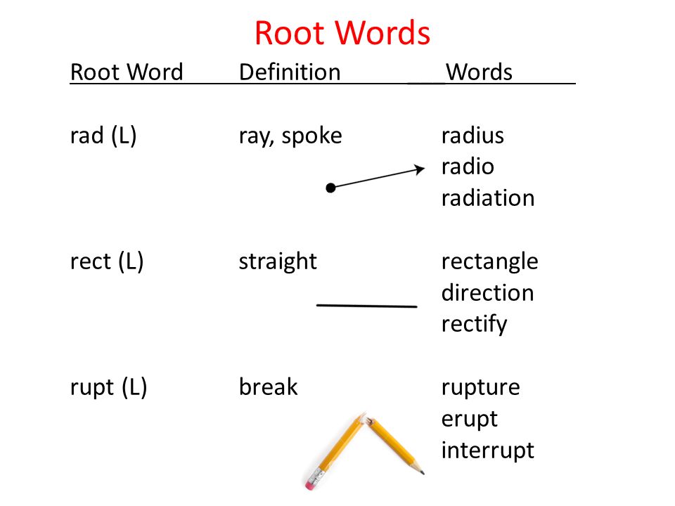 Root Words Root WordDefinition___Words rad (L)ray, spokeradius radio  radiation rect (L)straightrectangle direction rectify rupt (L)breakrupture  erupt interrupt. - ppt download