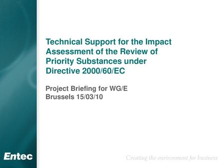 Project Briefing for WG/E Brussels 15/03/10