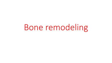 Bone remodeling.