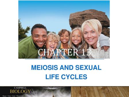 Meiosis and Sexual Life Cycles