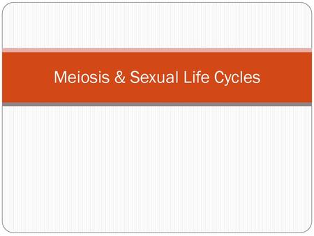 Meiosis & Sexual Life Cycles