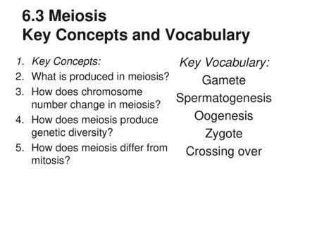 6.3 Meiosis Key Concepts and Vocabulary