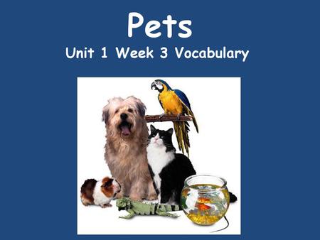 Pets Unit 1 Week 3 Vocabulary.