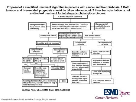 Proposal of a simplified treatment algorithm in patients with cancer and liver cirrhosis. 1 Both tumour- and liver-related prognosis should be taken into.