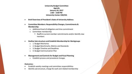 University Budget Committee