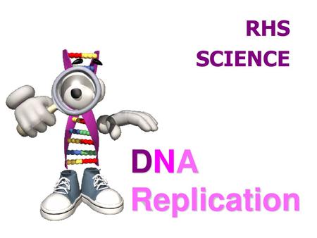 RHS SCIENCE DNA Replication Animation factory.