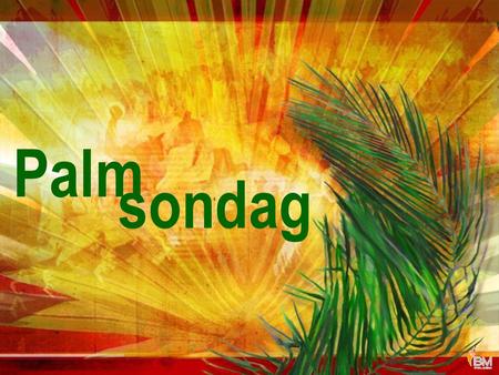 Palm sondag INLEIDING Hierdie Sondag is tradisioneel bekend as Palmsondag, die begin van die Groot Lydensweek Palmsondag is die laaste van die Lydensondae.