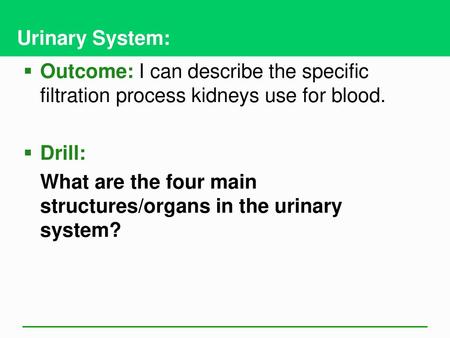 Urinary System: Outcome: I can describe the specific filtration process kidneys use for blood. Drill: What are the four main structures/organs in the urinary.