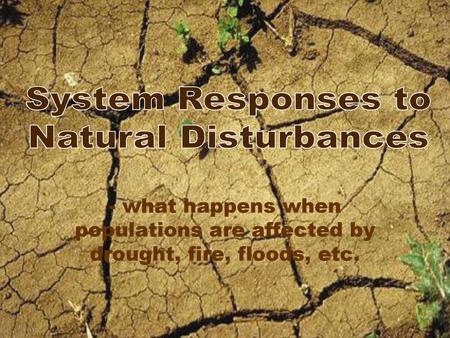 System Responses to Natural Disturbances