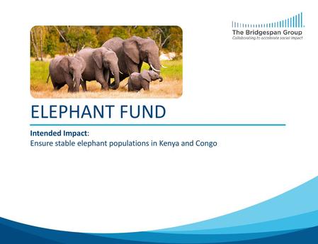 Intended Impact: Ensure stable elephant populations in Kenya and Congo