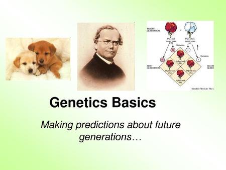 Making predictions about future generations…