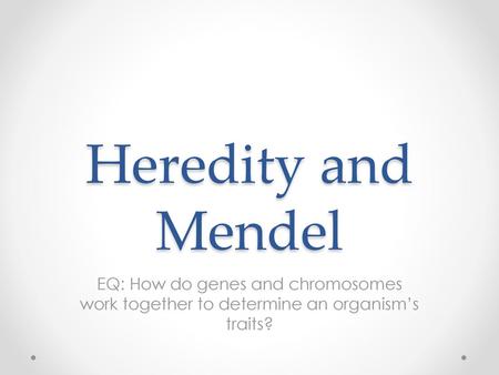 Heredity and Mendel EQ: How do genes and chromosomes work together to determine an organism’s traits?