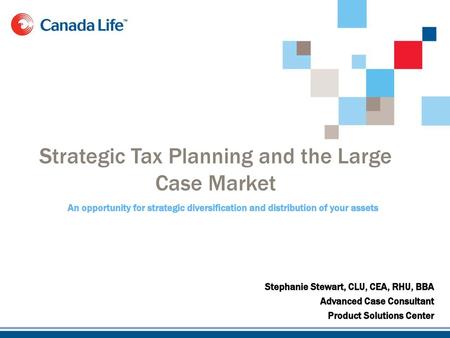 Strategic Tax Planning and the Large Case Market