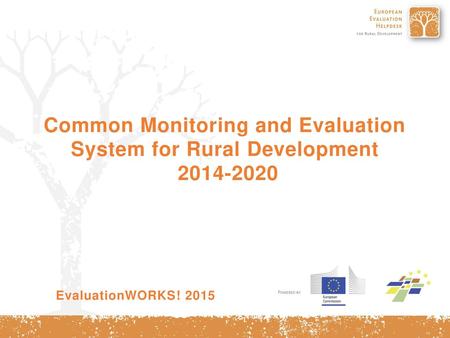 Common Monitoring and Evaluation   System for Rural Development