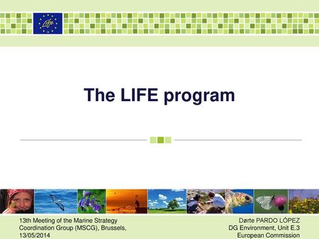 The LIFE program 13th Meeting of the Marine Strategy Coordination Group (MSCG), Brussels, 13/05/2014 Dørte PARDO LÓPEZ DG Environment, Unit E.3 European.