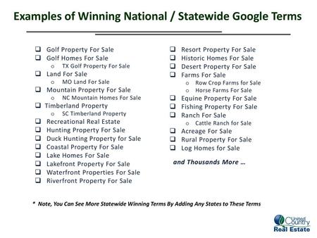 Examples of Winning National / Statewide Google Terms