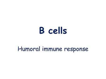 Humoral immune response