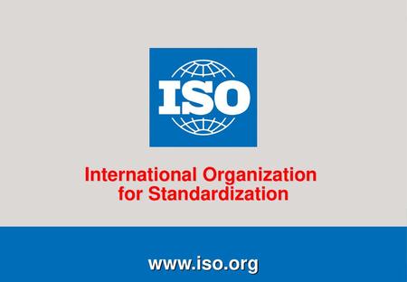 International Organization International Organization