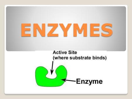 ENZYMES.