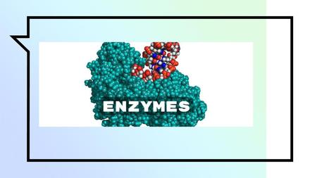 What is an enzyme? Enzymes are proteins, which means they are organic.