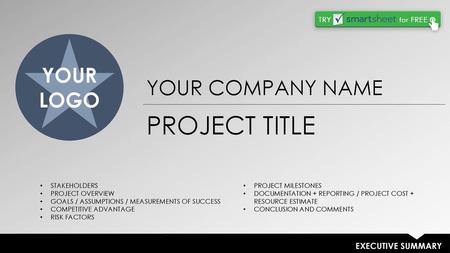 PROJECT TITLE YOUR LOGO YOUR COMPANY NAME EXECUTIVE SUMMARY