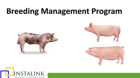 Breeding Management Program