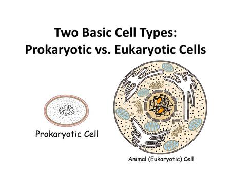 Two Basic Cell Types: Prokaryotic vs. Eukaryotic Cells