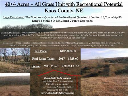40+/- Acres – All Grass Unit with Recreational Potential