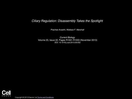 Ciliary Regulation: Disassembly Takes the Spotlight