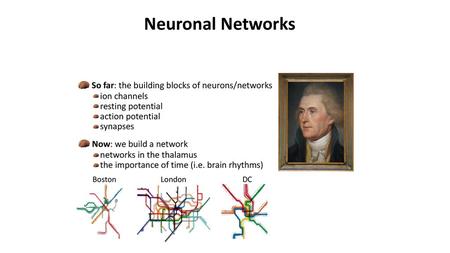 Neuronal Networks So far: the building blocks of neurons/networks