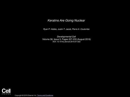 Keratins Are Going Nuclear