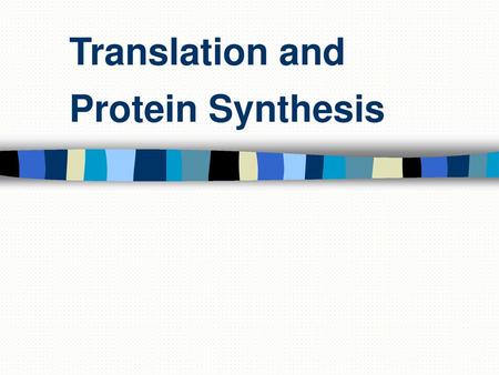 Translation and Protein Synthesis