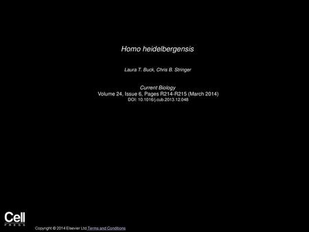 Homo heidelbergensis Current Biology