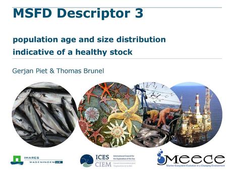 MSFD Descriptor 3 population age and size distribution indicative of a healthy stock Gerjan Piet & Thomas Brunel.