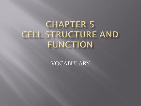 Chapter 5 CELL STRUCTURE AND FUNCTION