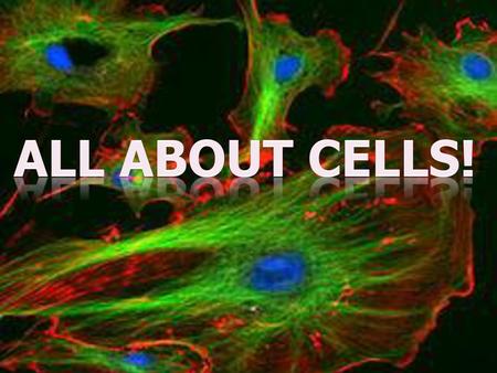 All About Cells!.