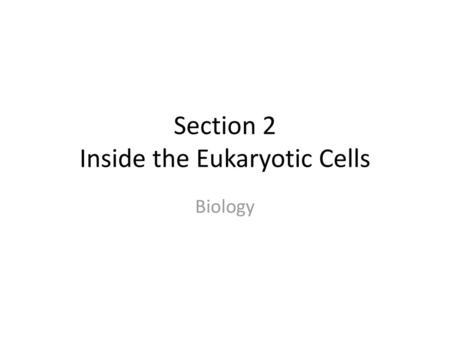 Section 2 Inside the Eukaryotic Cells