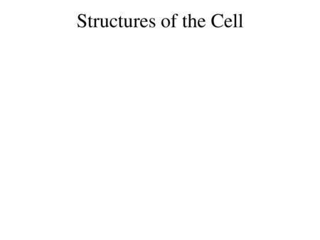 Structures of the Cell.