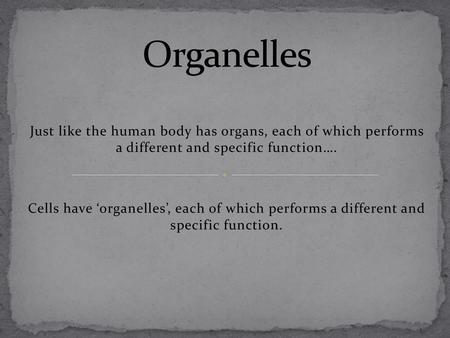 Organelles Just like the human body has organs, each of which performs a different and specific function…. Cells have ‘organelles’, each of which performs.