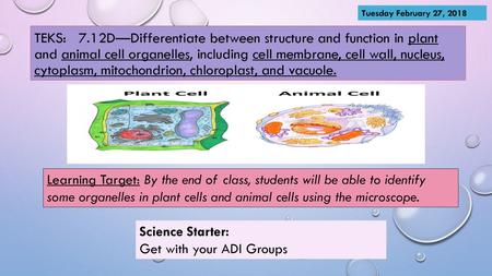 Tuesday February 27, 2018 TEKS: 7.12D—Differentiate between structure and function in plant and animal cell organelles, including cell membrane, cell.