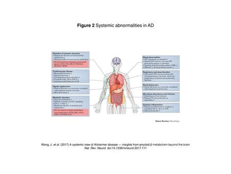 Figure 2 Systemic abnormalities in AD
