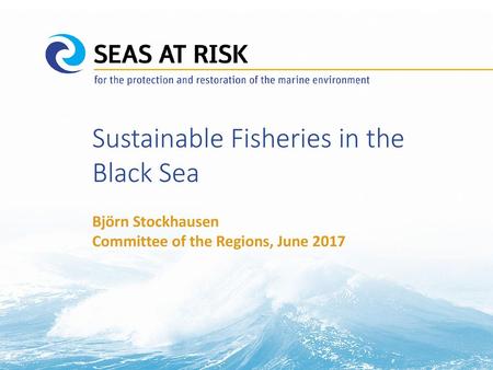 Sustainable Fisheries in the Black Sea