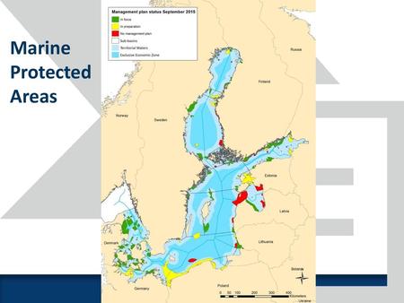 Marine Protected Areas